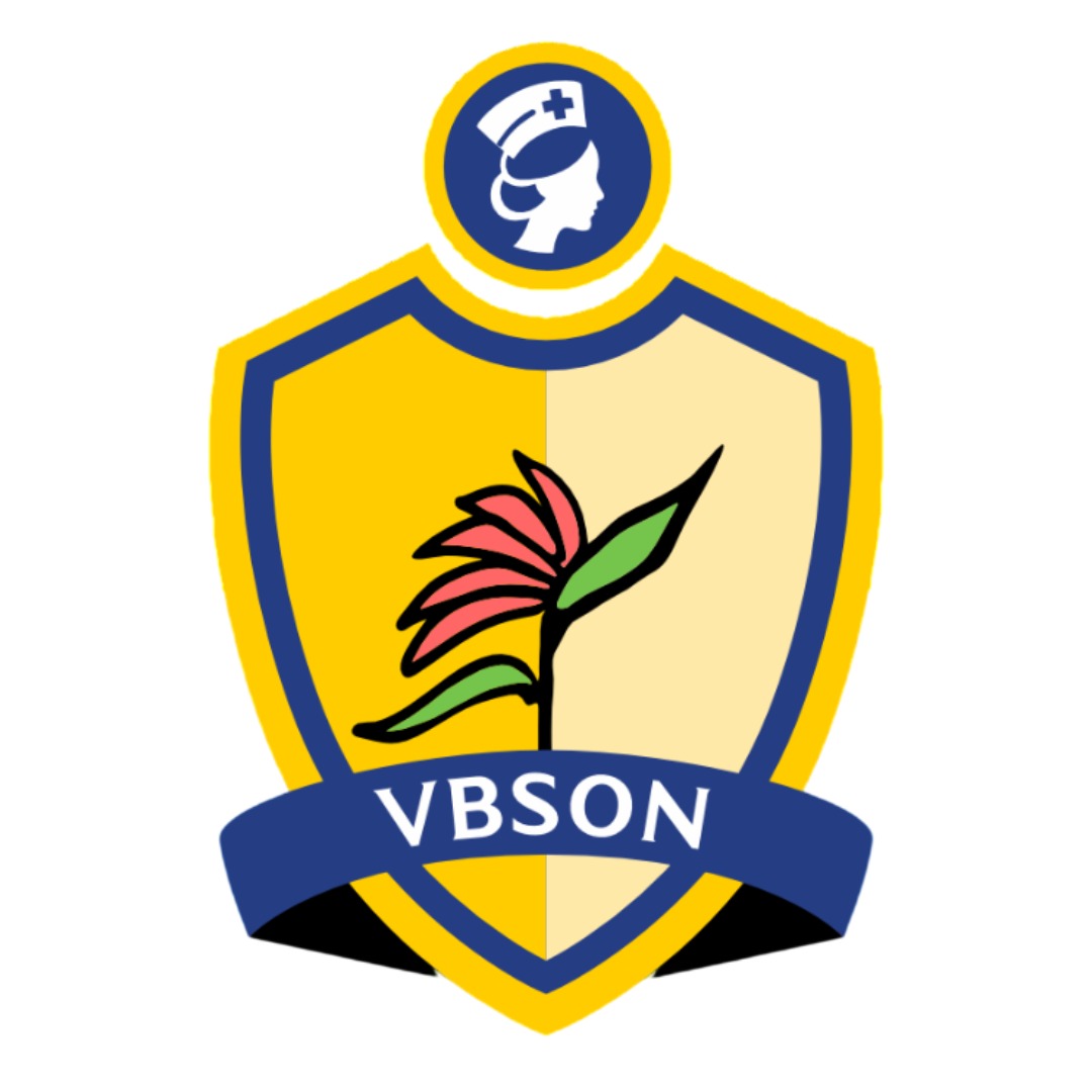 VBSON Logo