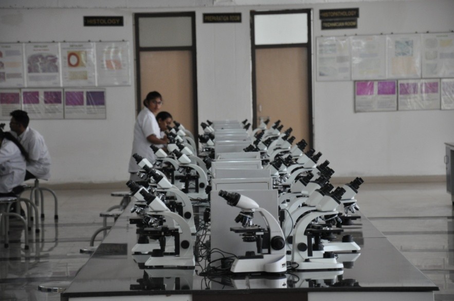 Lab